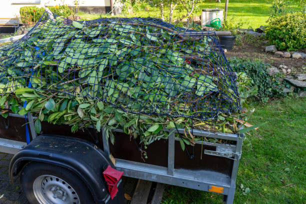 Trusted Koloa, HI Junk Removal Services Experts